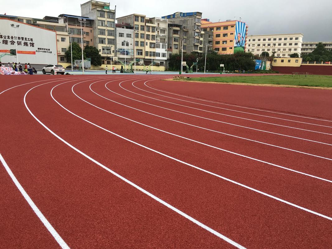 西双版纳傣族自治州学校塑胶跑道塑胶跑道材料 - 排名